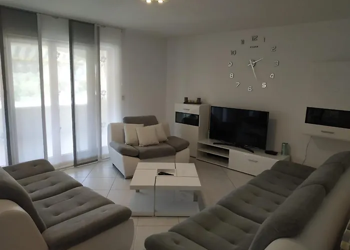 Palma 7